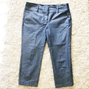 Ann Taylor Factory Signature Pants